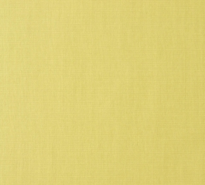 Фото BN International Inspire 45385