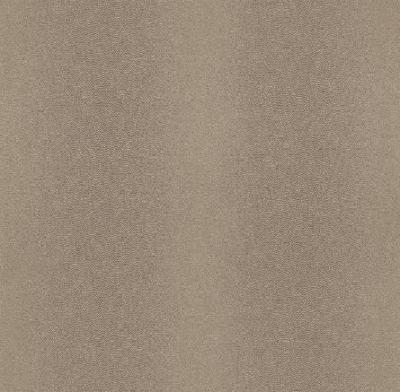 Rasch African Queen 2014 422764