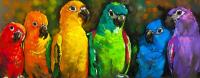 Попугаи