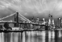Komar 8-934 (Бруклинский мост)