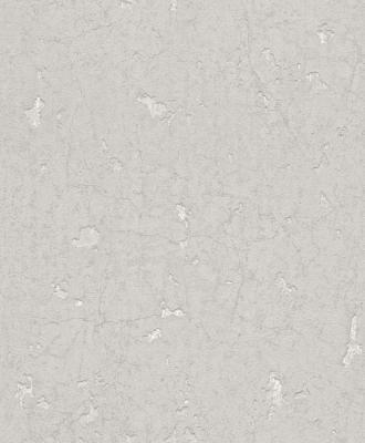 Фото Rasch Modern Surfaces 860016