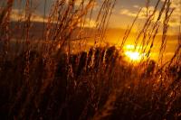 Закат на море