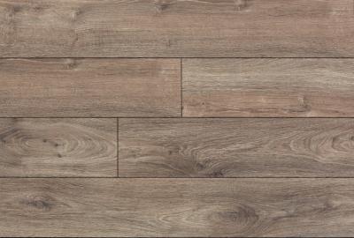 Фото My Step Terra MS128 Дуб Вена