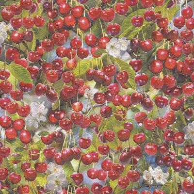 Фото Rasch Tiles & More XII 858402