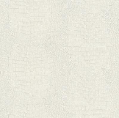 Rasch African Queen 2014 422535