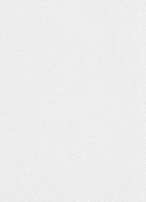 Фото Erismann RollOver 3924-01 (3924-10)