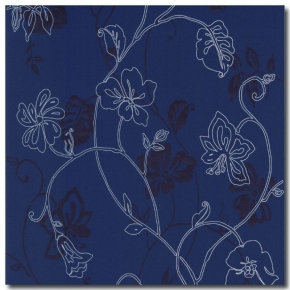 Фото BN International Jolly 46668