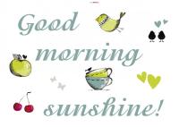 Komar 17046h (Sunshine)