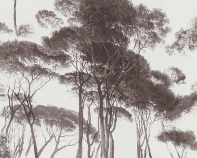 Фото A.S.Creation History of Art 37651-1