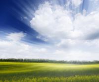 Облака над полем