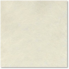 Фото Marburg Domotex New Style 53512