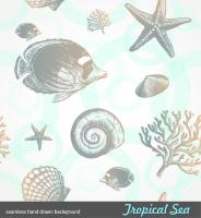 Подводный мир