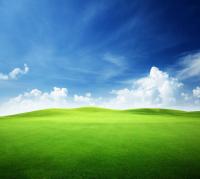 Зеленая трава