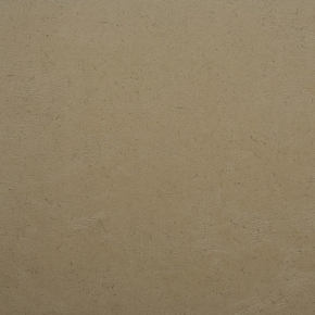 Фото BN International Authentique 45747