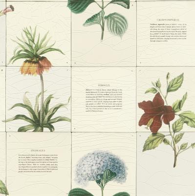 Фото Rasch Tiles & More XIV (2019) 307801