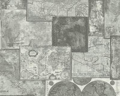 A.S.Creation Dekora Natur 6 6643-27