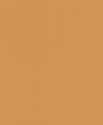 Фото Rasch Funky Flair 2015 721966