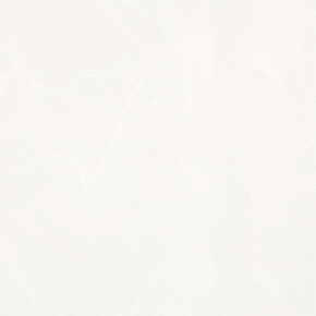 Фото BN International Motion 46603