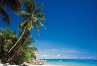 Komar 8-511 NG (Пляж)