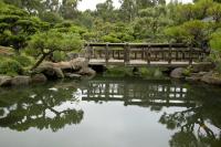 Деревянный мостик