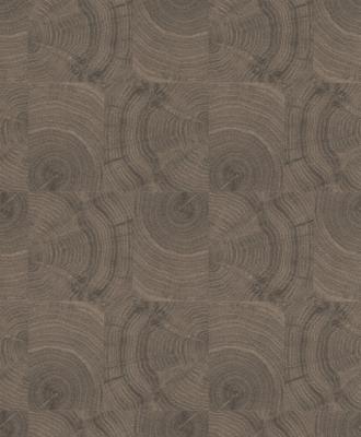 Фото Rasch Factory 2014 438802