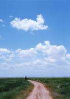 Голубое небо над полем