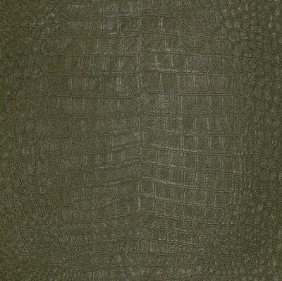 Фото Rasch African Queen 2 474121