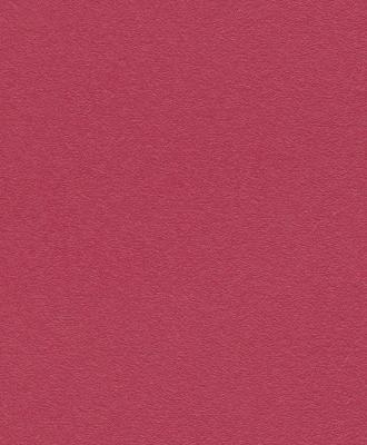 Фото Rasch Kids' Club 2014 786323