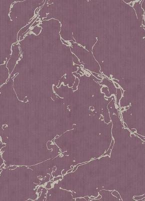 Фото Erismann BasiXs 6491-45