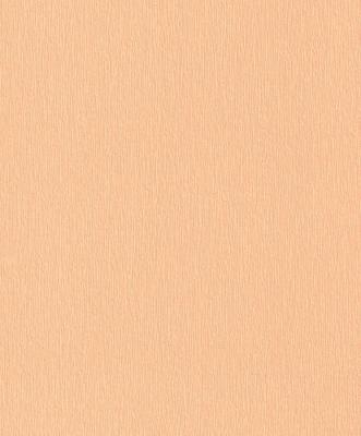 Фото Rasch HOME VISION 2016 863543