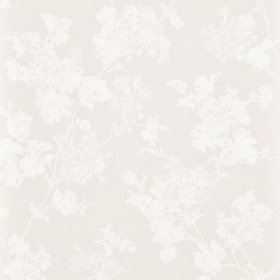 Фото Sandudd White Secrets 4971-1