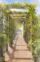 Арка в саду