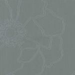 Фото BN International Q2 43160