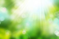 Солнечные лучи