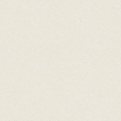 Фото Rasch Passepartout 606638