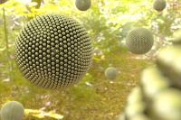 Золотые шары