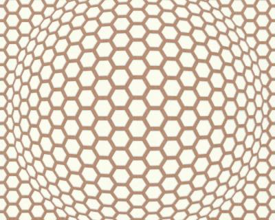 Фото A.S.Creation Contzen 3 255358