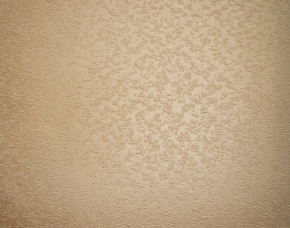 Фото BN International Champagne 50100