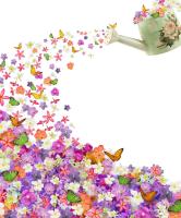 Цветы из лейки