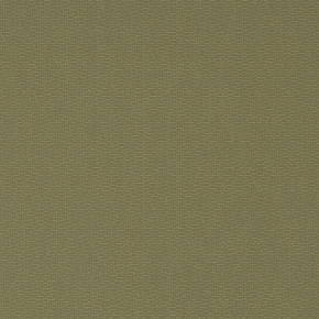 Фото BN International Chacran 46091