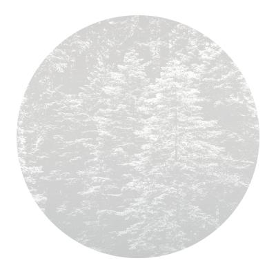 Фото Erismann Fashion for Walls 4 2553N-71