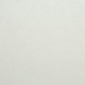 Фото BN International Authentique 45746