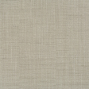 Фото BN International Motion 46647