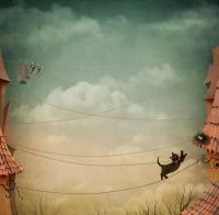 Кот на крыше