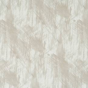 Фото BN International Mart Visser 48192