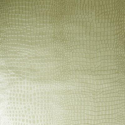 Фото Graham & Brown Paradise 107686