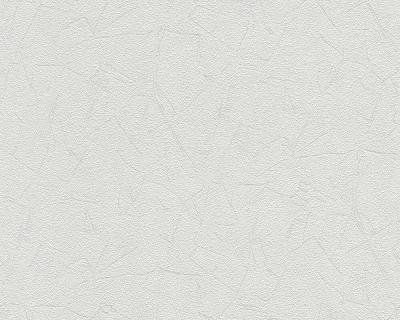 Фото A.S.Creation Maistervlies 2020 57121-2