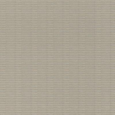 Фото Rasch Axiom 960938