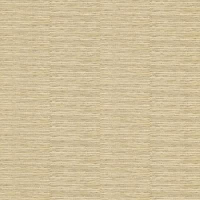 Фото Rasch Factory 2014 438932