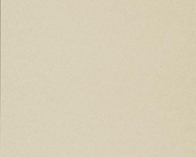 Фото A.S.Creation Serenade 914972